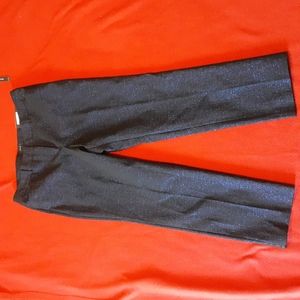 Worthington ankle length shimmery pants